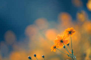 产品到底如何才卖得好？