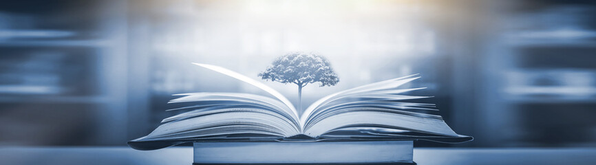 最近同学合伙想开个小店 网店也行 实体店也行 给点关于开店方面的策划 关于卖服装