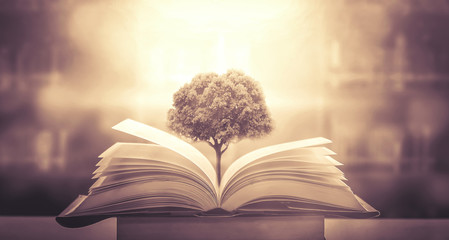 48岁如何配置保险？