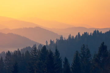 求Mother teresa.（特蕾莎）的至理名言。