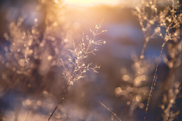 iDropper 是什么？