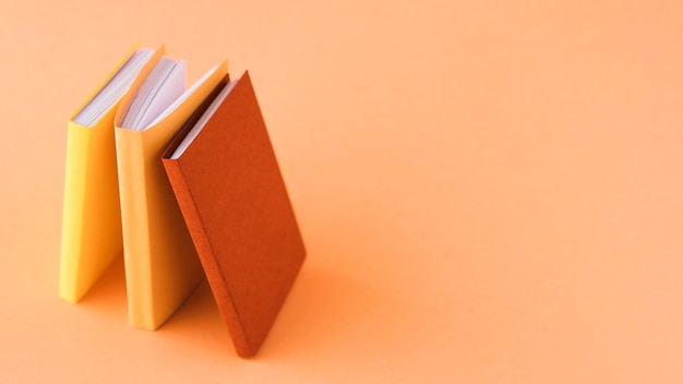 黄磊老婆孙俪个人资料简介身高体重