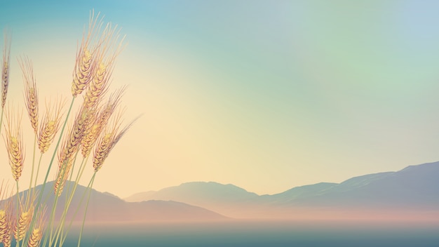 比肩格是什么格局 是富贵命吗