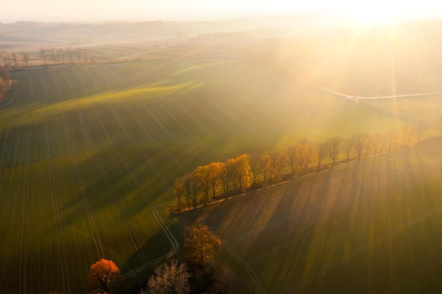 火星文符号是指什么？