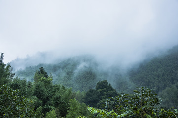 听书宝数据库连续错误怎么办